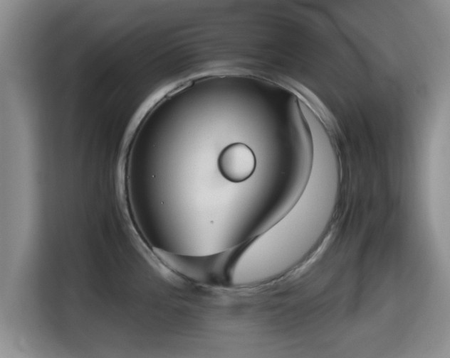 X0000115391196200911101446