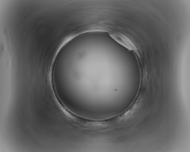 X0000115391197200911101446
