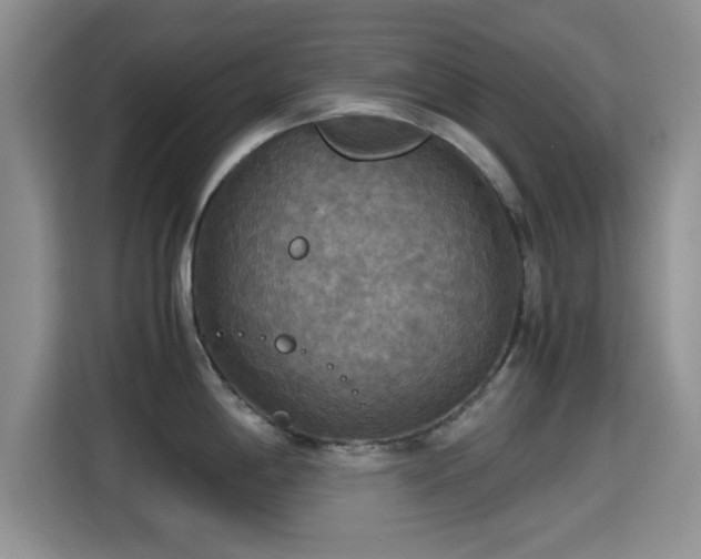 X0000115391198200911101446