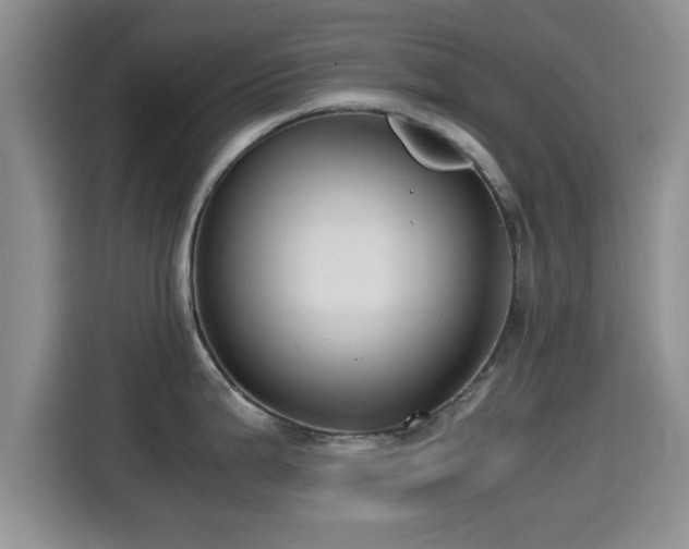 X0000115391199200911101446