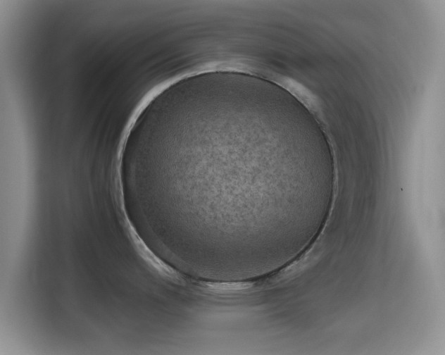 X0000115391200200911101446