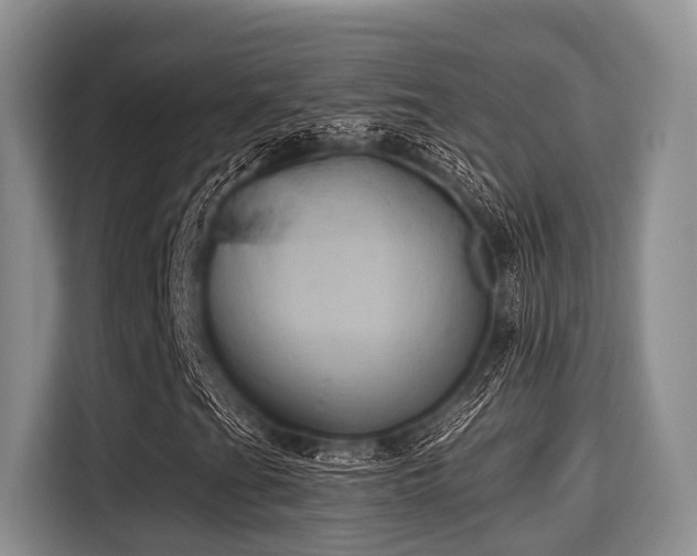 X0000115391201200911101445