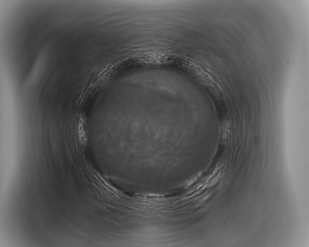 X0000115391202200911101445