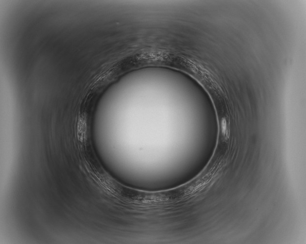 X0000115391203200911101445