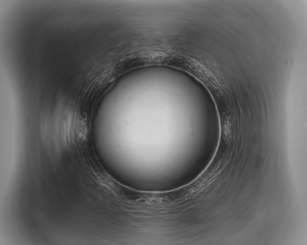 X0000115391204200911101445