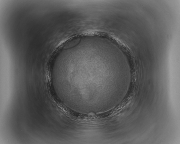 X0000115391206200911101445