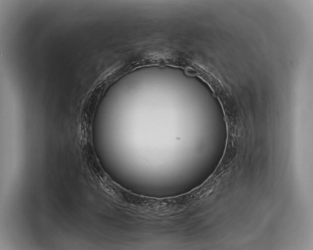 X0000115391207200911101445