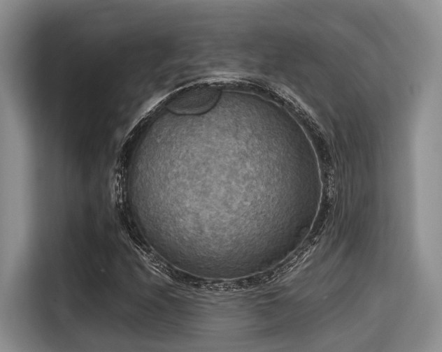 X0000115391208200911101445