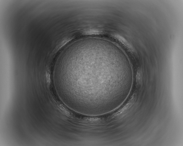 X0000115391209200911101445