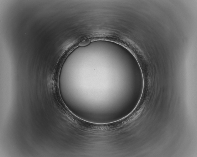 X0000115391210200911101445