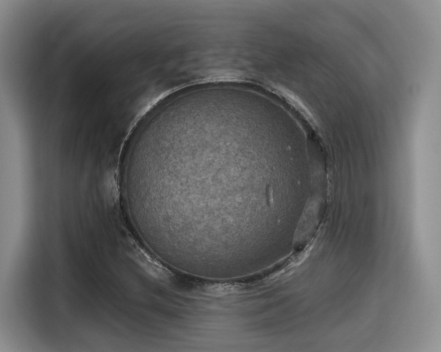 X0000115391212200911101445