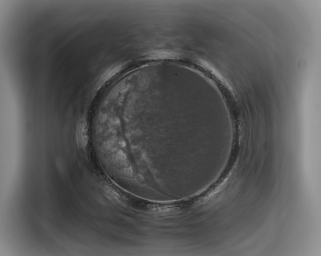 X0000115391213200911101445
