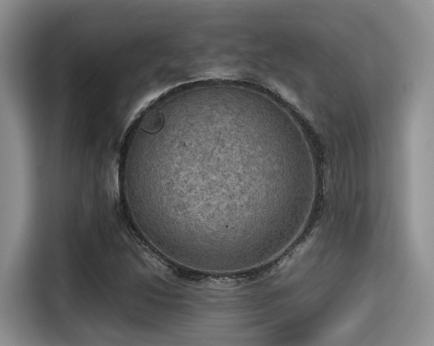 X0000115391214200911101445