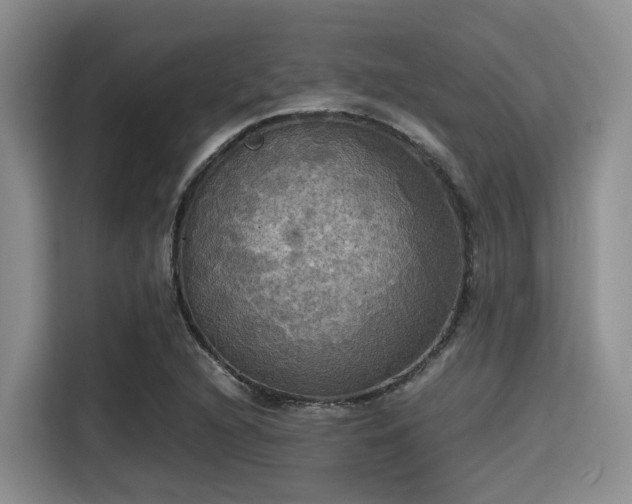 X0000115391216200911101445
