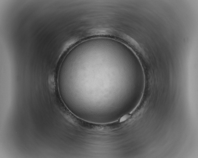 X0000115391218200911101445