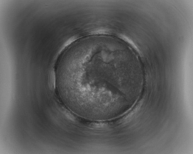 X0000115391219200911101445