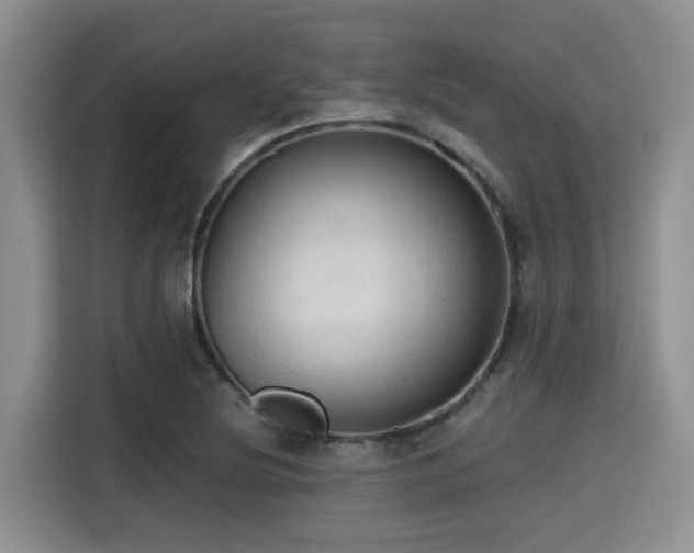 X0000115391220200911101445
