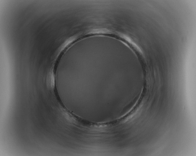 X0000115391221200911101445