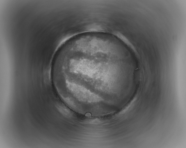 X0000115391222200911101445