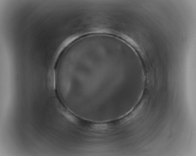 X0000115391223200911101445