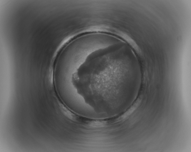X0000115391224200911101445