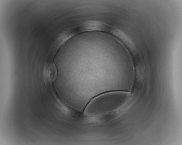 X0000115391225200911101446