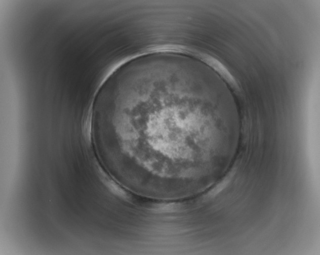 X0000115391228200911101446