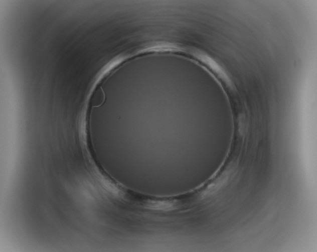 X0000115391229200911101446
