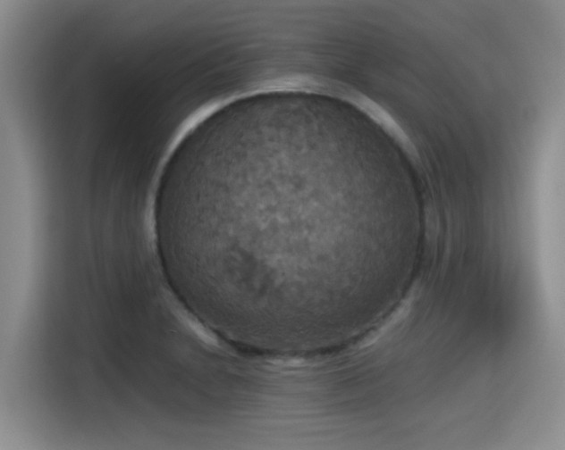 X0000115391230200911101446