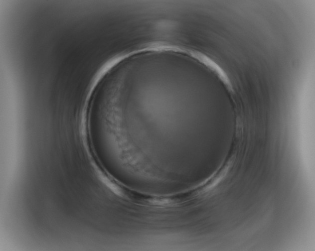 X0000115391231200911101446