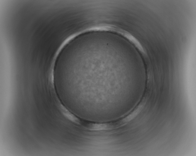 X0000115391232200911101446