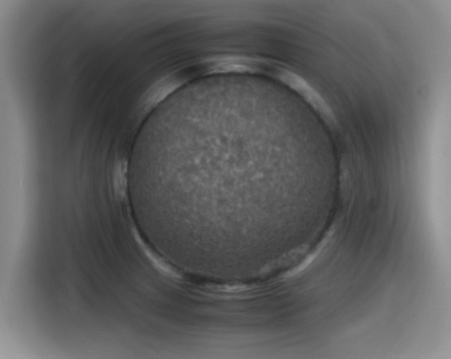 X0000115391233200911101446