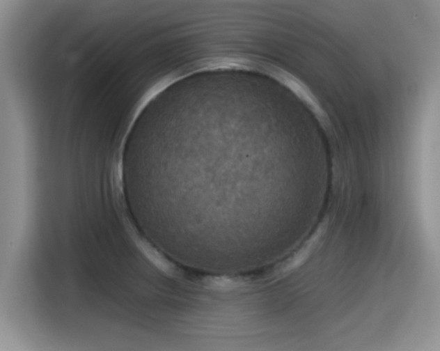 X0000115391234200911101446