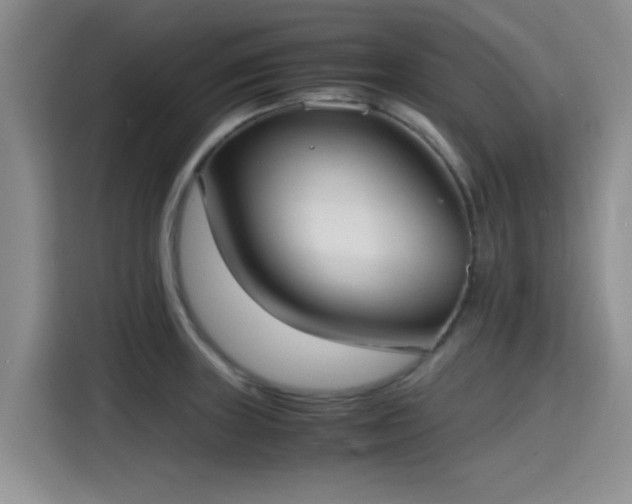 X0000115391235200911101446