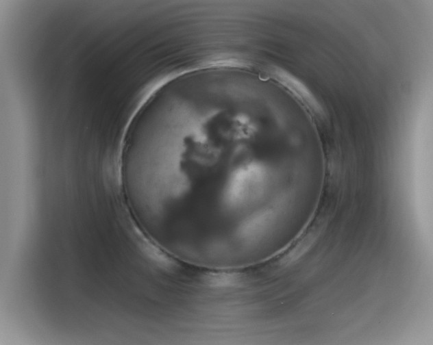 X0000115391236200911101446
