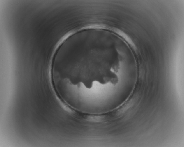 X0000115391237200911101446