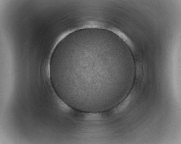 X0000115391238200911101446