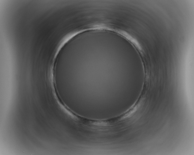 X0000115391239200911101446
