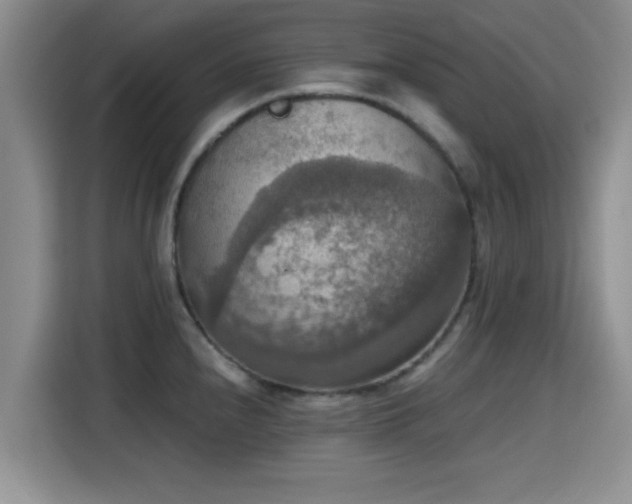 X0000115391240200911101446