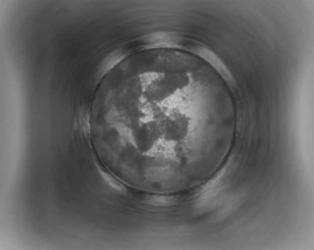 X0000115391241200911101446