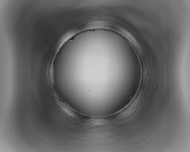 X0000115391242200911101446
