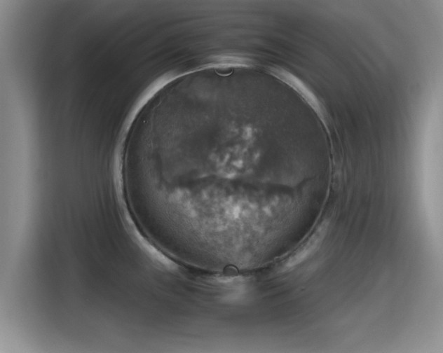 X0000115391243200911101446