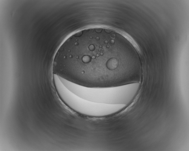 X0000115391244200911101446