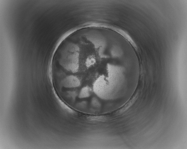 X0000115391247200911101446