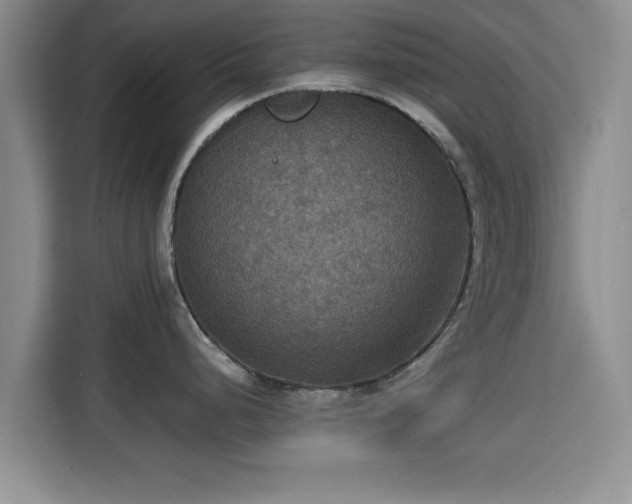 X0000115391248200911101446