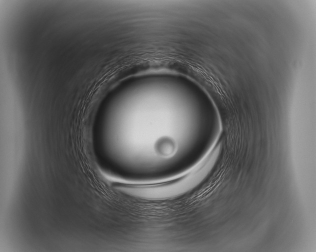 X0000115391249200911101445