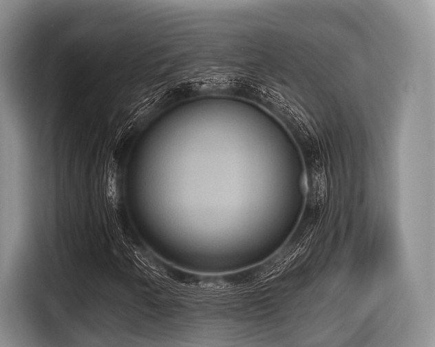 X0000115391250200911101445