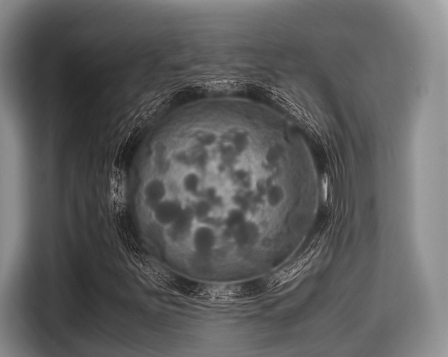 X0000115391251200911101445
