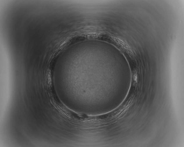 X0000115391252200911101445