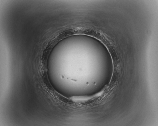 X0000115391253200911101445